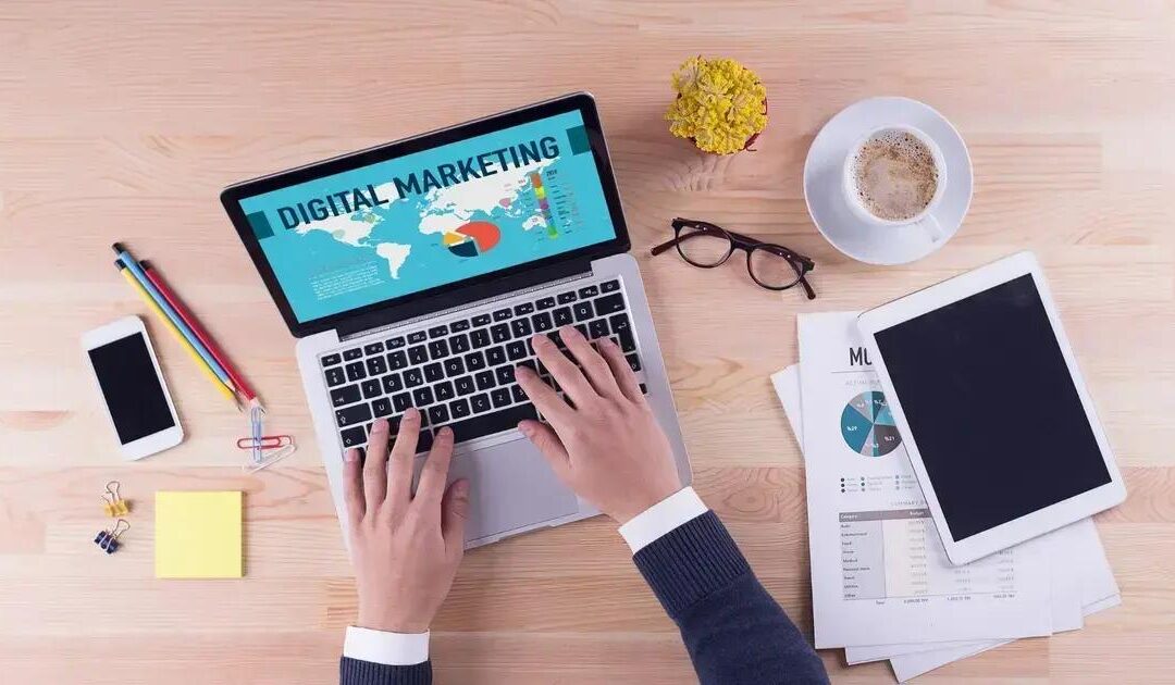 SEO: como otimizar seu conteúdo e atrair mais visitantes