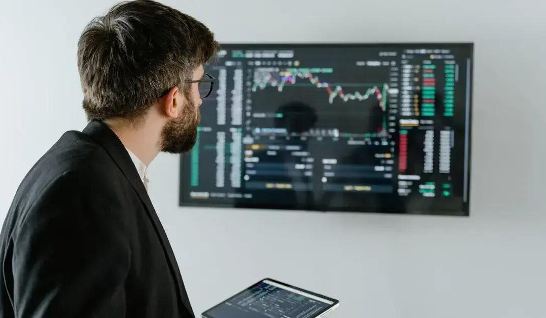seguidores: como conquistá-los e mantê-los de forma eficaz